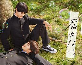 杨风与叶梦妍杨盼盼小说名字战神归来封面图