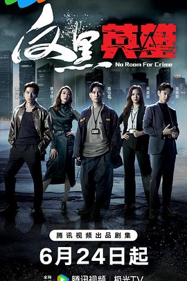 战鸽总动员封面图